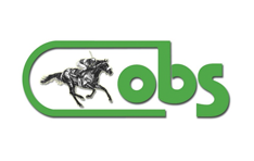 Logo-OBS.png