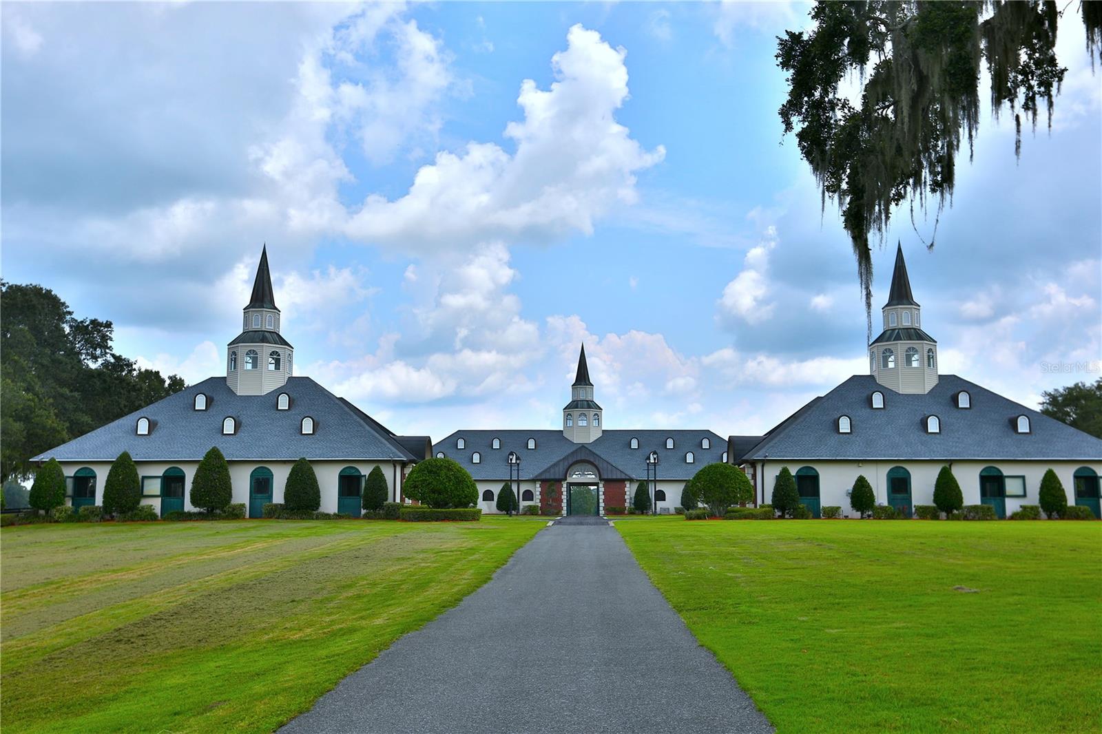 Horse Farm